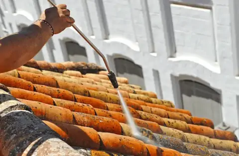 Nettoyage de toitures - Perreux